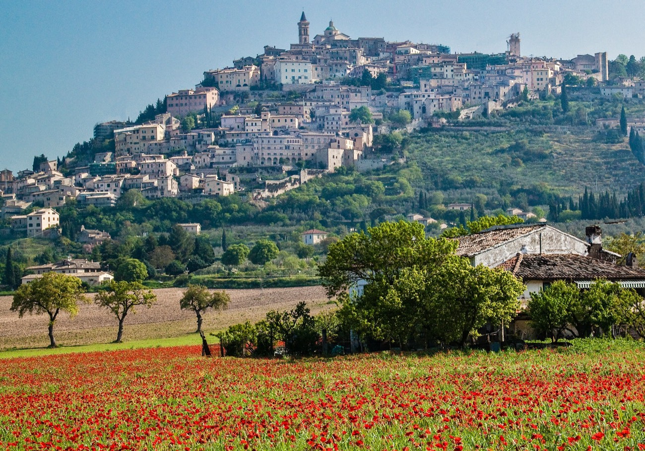 Trevi, een heuveldorp in Umbrië, boven een veld vol klaprozen